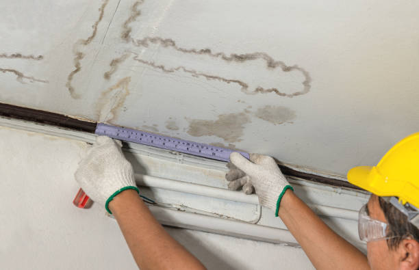 Reliable Water Damage contractor in Cascade, ID by Water Damage Irwin
